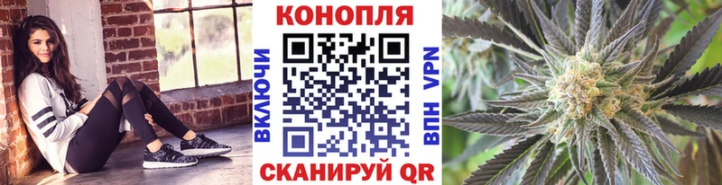 Где продают наркотики Новосокольники Конопля  ГАШ 