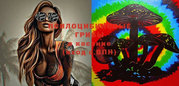 сатива Нижний Тагил