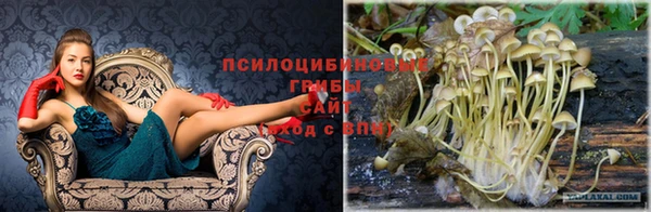 мет Новый Уренгой