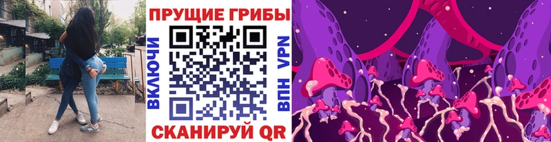 купить  сайты  Новосокольники  Псилоцибиновые грибы Magic Shrooms 